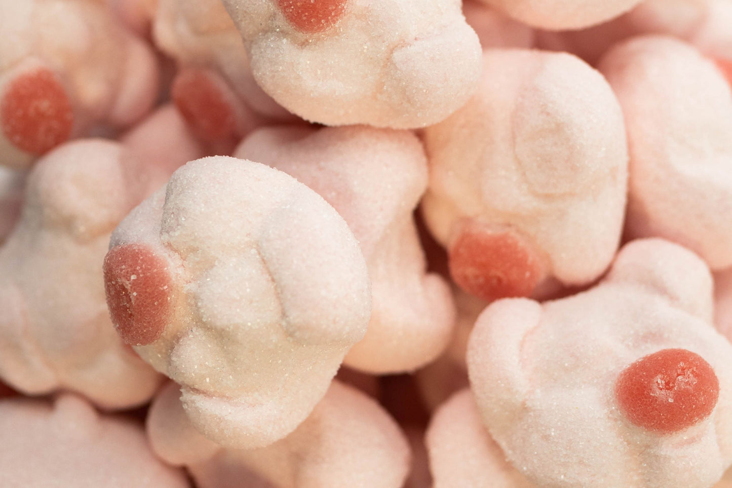 Jumbo Marshmallow Pigs 2.2lbs