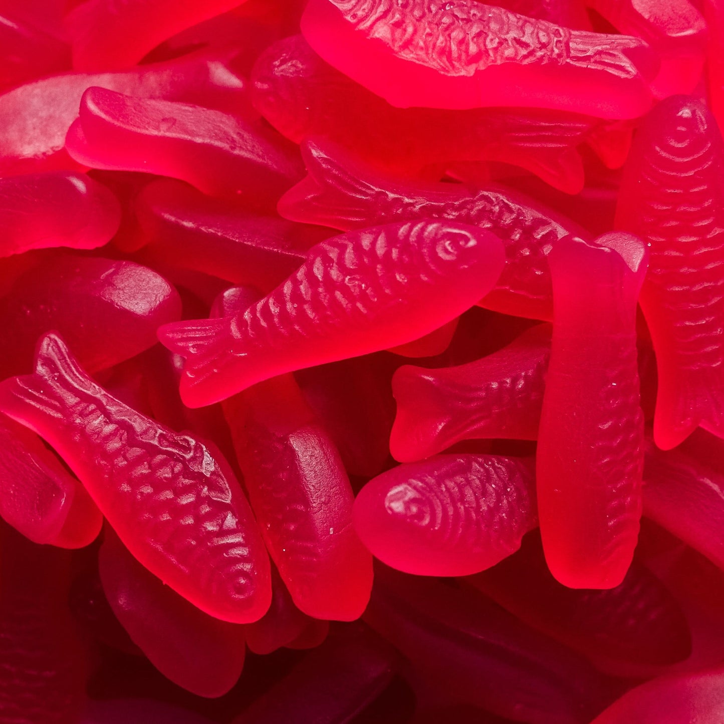 Sweetish Sardines 6.6lbs